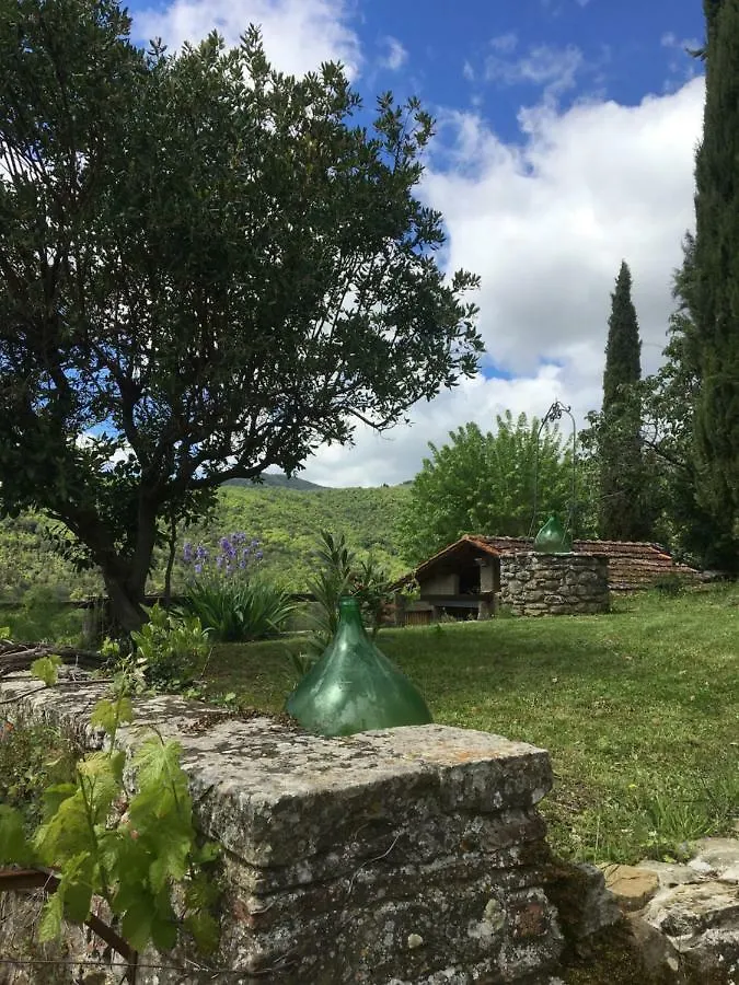 Agriturismo La Fenice Villa Castiglion Fiorentino